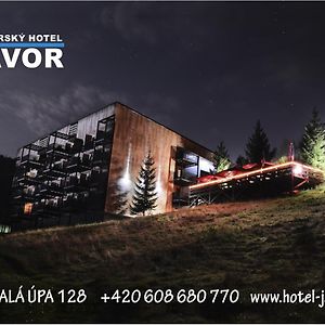Horsky Hotel Javor